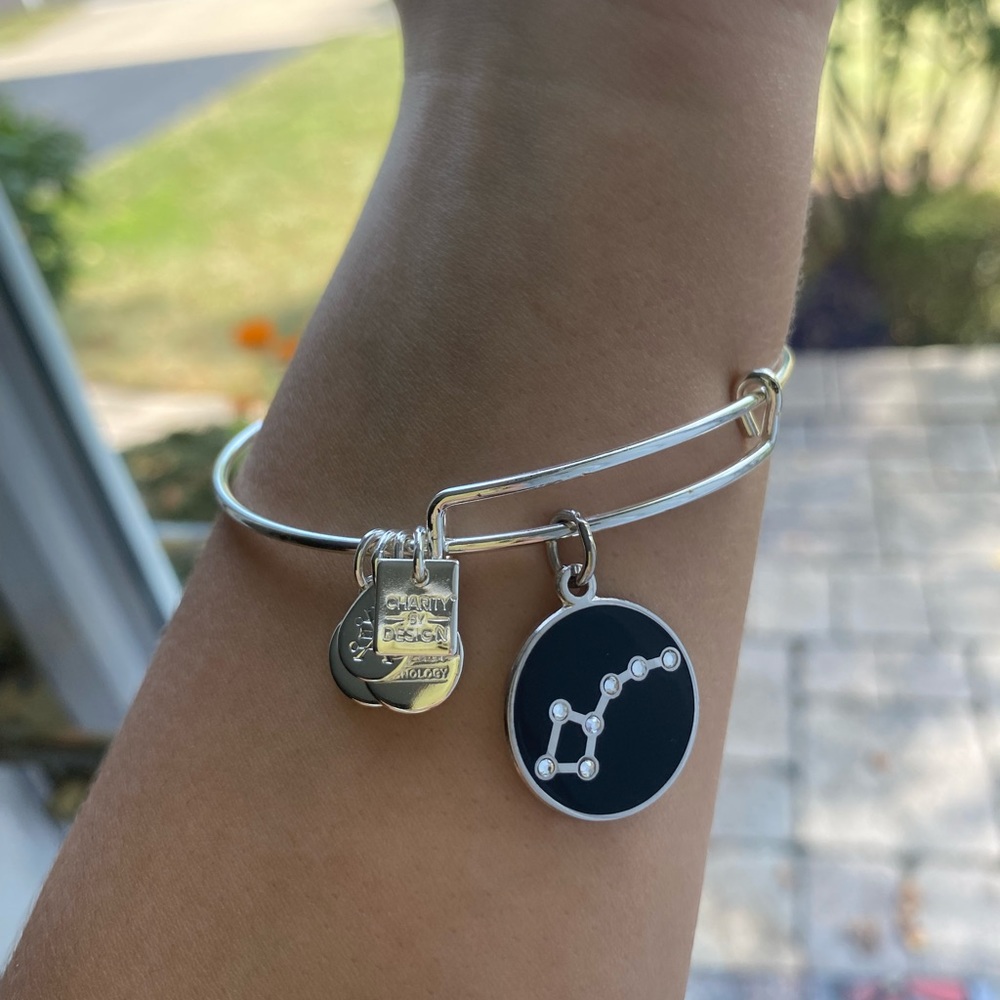 alex and ani silver little dipper charm bangle